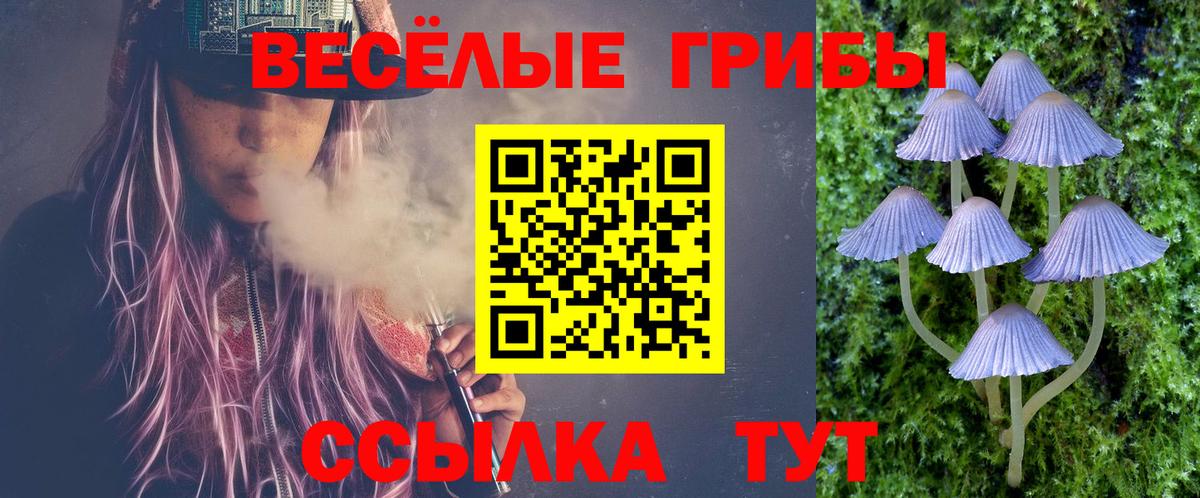 Псилоцибиновые грибы мицелий  Псилоцибиновые грибы Psilocybe  Нефтекамск  Вход с VPN 